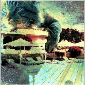 artworks-000041505161-d61w7j-t500x500