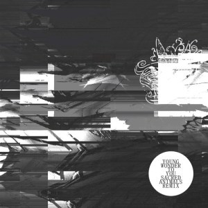 artworks-000036471756-5dj07z-t500x500