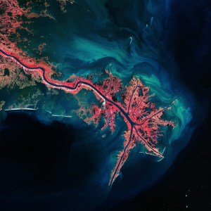 artworks-000058441560-xoku4t-t500x500