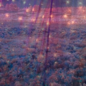 artworks-000118354996-867qgh-t500x500