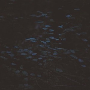 artworks-000136597030-dw25ua-t500x500