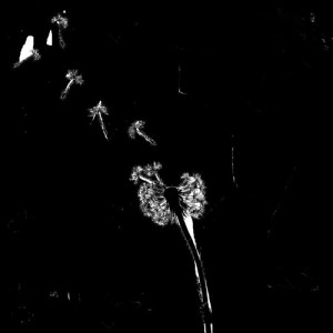 artworks-000115409235-y47sze-t500x500