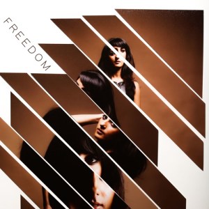 artworks-000160054646-vl3gz0-t500x500