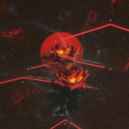 tara carosielli - your nerves